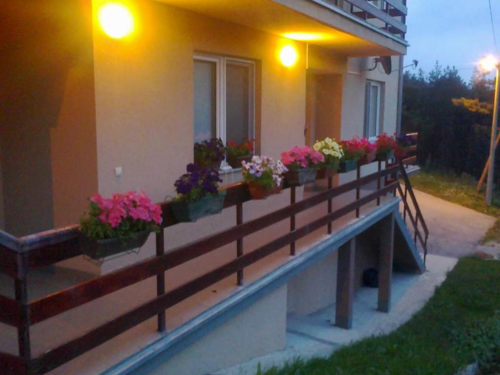 Apartments Varga Divčibare Exteriör bild